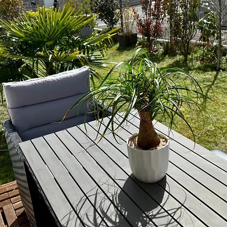 Maison En Born *